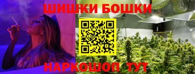 СК Краснодар