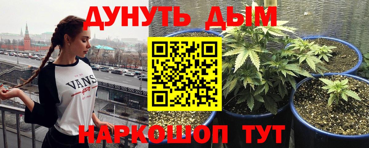Каннабис конопля  Вход с VPN  Конопля Amnesia  Кострома 